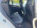 BMW X3 M X3  M40 i Top Gepflegt Weiß - thumbnail 9