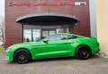 Ford Mustang Mustang Fastback V8 5.0 BVA10 GT 450 MAGNERIDE Vert - thumbnail 6
