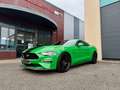 Ford Mustang Mustang Fastback V8 5.0 BVA10 GT 450 MAGNERIDE Vert - thumbnail 9