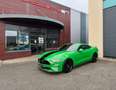 Ford Mustang Mustang Fastback V8 5.0 BVA10 GT 450 MAGNERIDE Vert - thumbnail 8