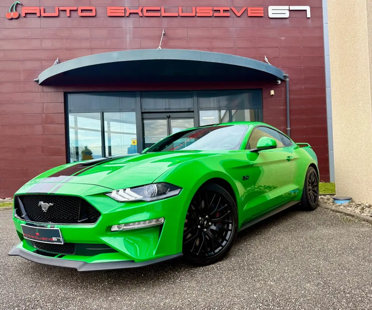 Ford Mustang Mustang Fastback V8 5.0 BVA10 GT 450 MAGNERIDE Vert - 1