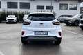 Ford Puma 1.0 EcoBoost Hybrid 125 CV S&S Titanium Weiß - thumbnail 6