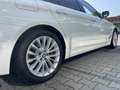 BMW 530 e Luxury Line //Leas. ab EUR 619,-inkl.* Weiß - thumbnail 11