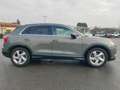 Audi Q3 2023 35 2.0 tdi Business Advanced s-tronic Grau - thumbnail 6