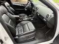 Audi S3 S3 Sportback 2.0 TFSI Quattro S tronic CUIR PANO Weiß - thumbnail 17