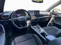 CUPRA Leon 2.0 TSI 7-Gang DSG/FaPa XL/SHZ - thumbnail 8