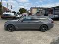 BMW 530 530 d xDrive Luxury Line Panora Standhetzun Gris - thumbnail 4