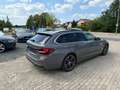 BMW 530 530 d xDrive Luxury Line Panora Standhetzun Gris - thumbnail 5