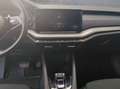 Skoda Octavia 4x4 Ambition TDI DSG Silber - thumbnail 11