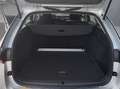 Skoda Octavia 4x4 Ambition TDI DSG Silber - thumbnail 14