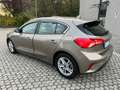 Ford Focus 1.5 TDCi 120 CV Start&Stop ST Line Braun - thumbnail 6