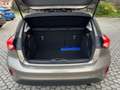 Ford Focus 1.5 TDCi 120 CV Start&Stop ST Line Braun - thumbnail 15