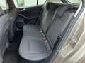 Ford Focus 1.5 TDCi 120 CV Start&Stop ST Line Braun - thumbnail 14