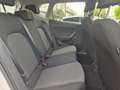SEAT Arona 1.0 EcoTSI Reference Bianco - thumbnail 14
