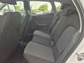 SEAT Arona 1.0 EcoTSI Reference Bianco - thumbnail 13