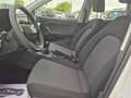 SEAT Arona 1.0 EcoTSI Reference Bianco - thumbnail 11