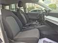 SEAT Arona 1.0 EcoTSI Reference Bianco - thumbnail 10