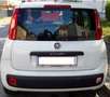Fiat Panda Panda 1,2 69 Young Young Weiß - thumbnail 3