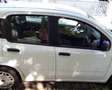 Fiat Panda Panda 1,2 69 Young Young Weiß - thumbnail 7