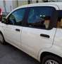 Fiat Panda Panda 1,2 69 Young Young Weiß - thumbnail 2