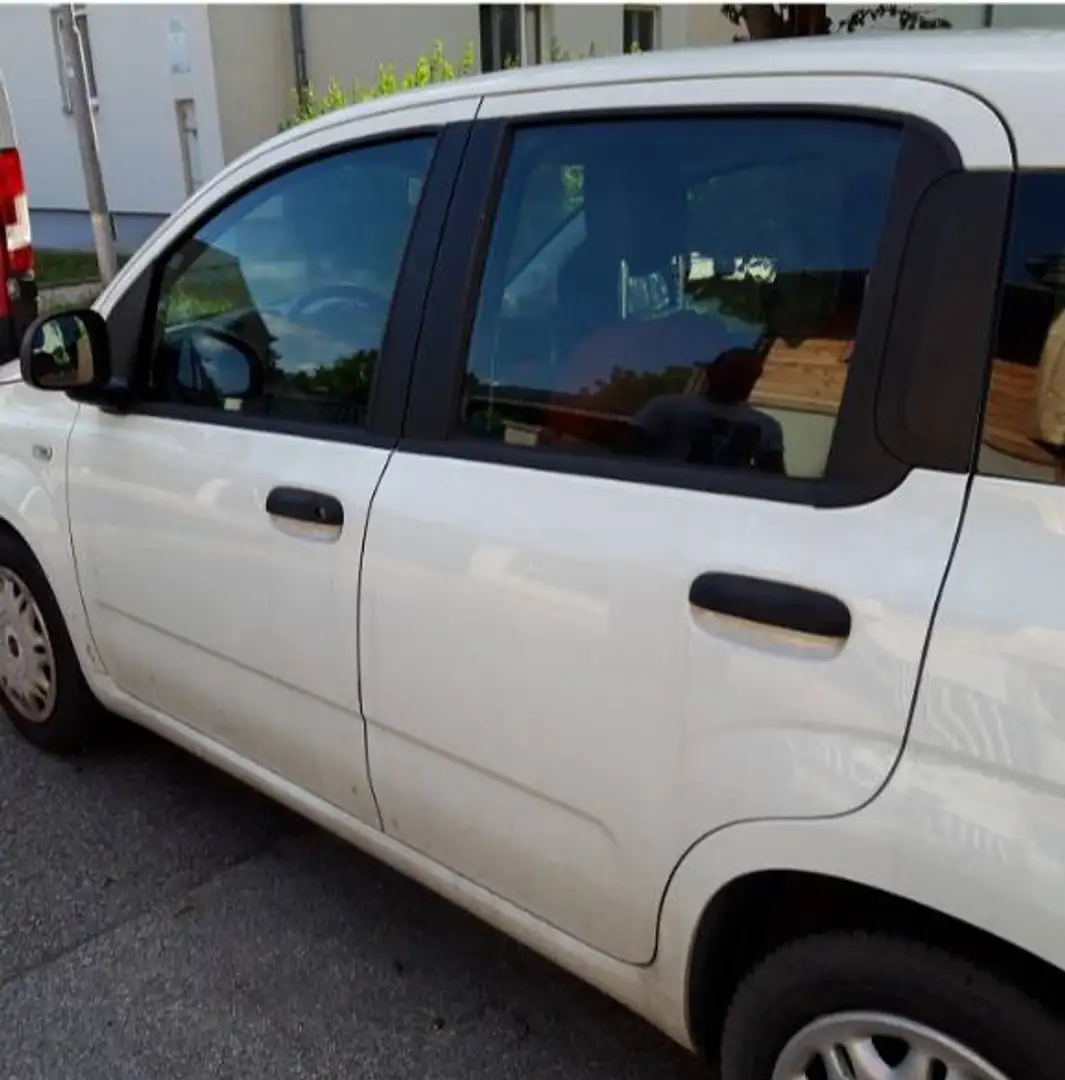 Fiat Panda Panda 1,2 69 Young Young Weiß - 2