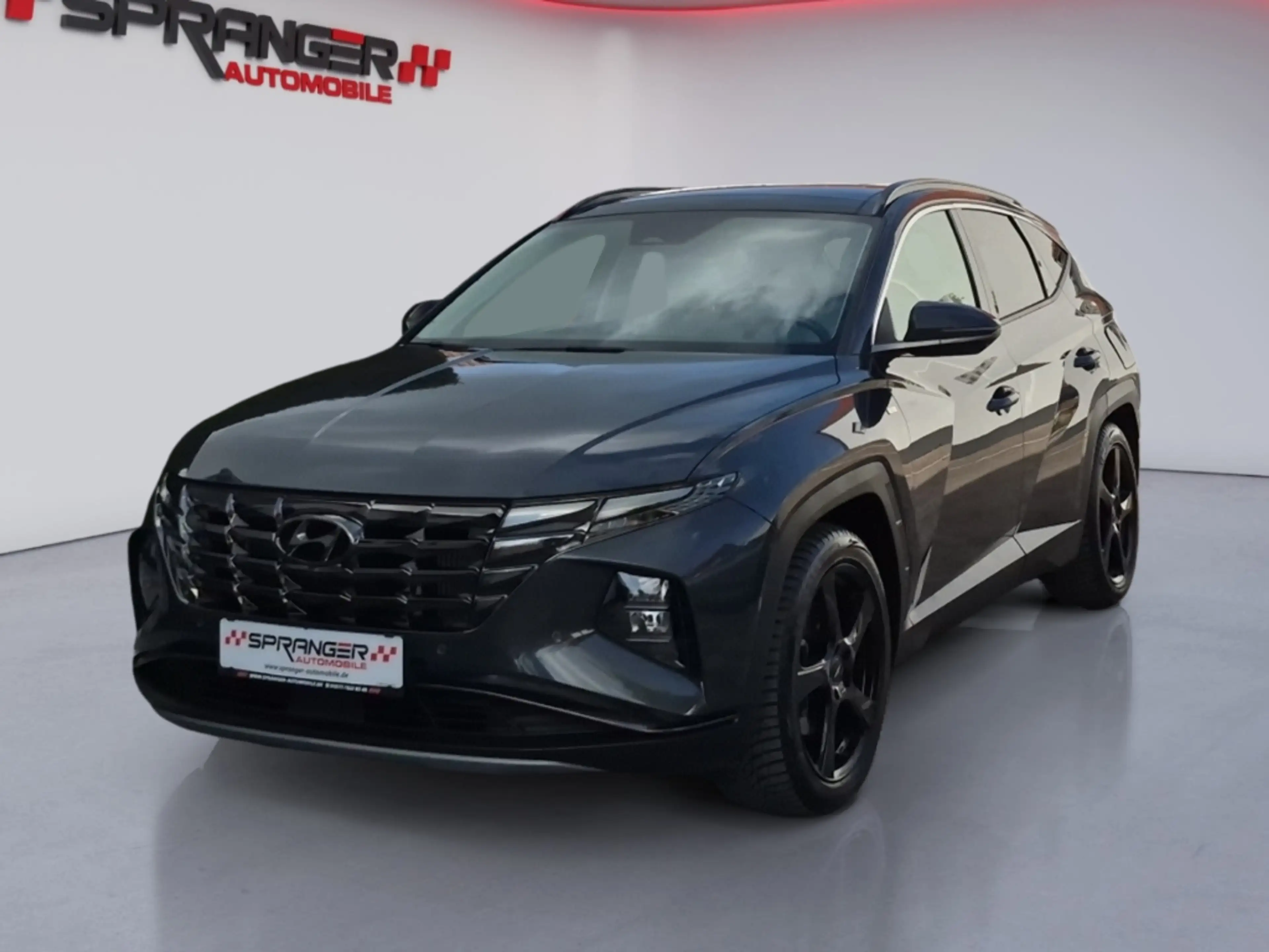 Hyundai TUCSON 1.6 Mild-Hybrid 4WD Pano el.Heckkl. ACC Klimasitze