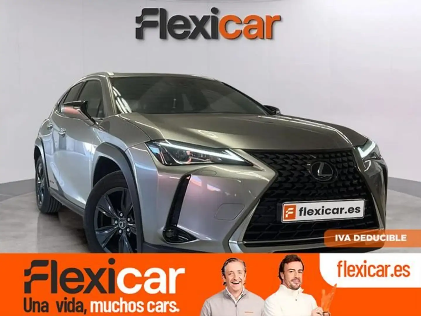 Lexus UX 250h 2.0+250h+Business Gris - 1