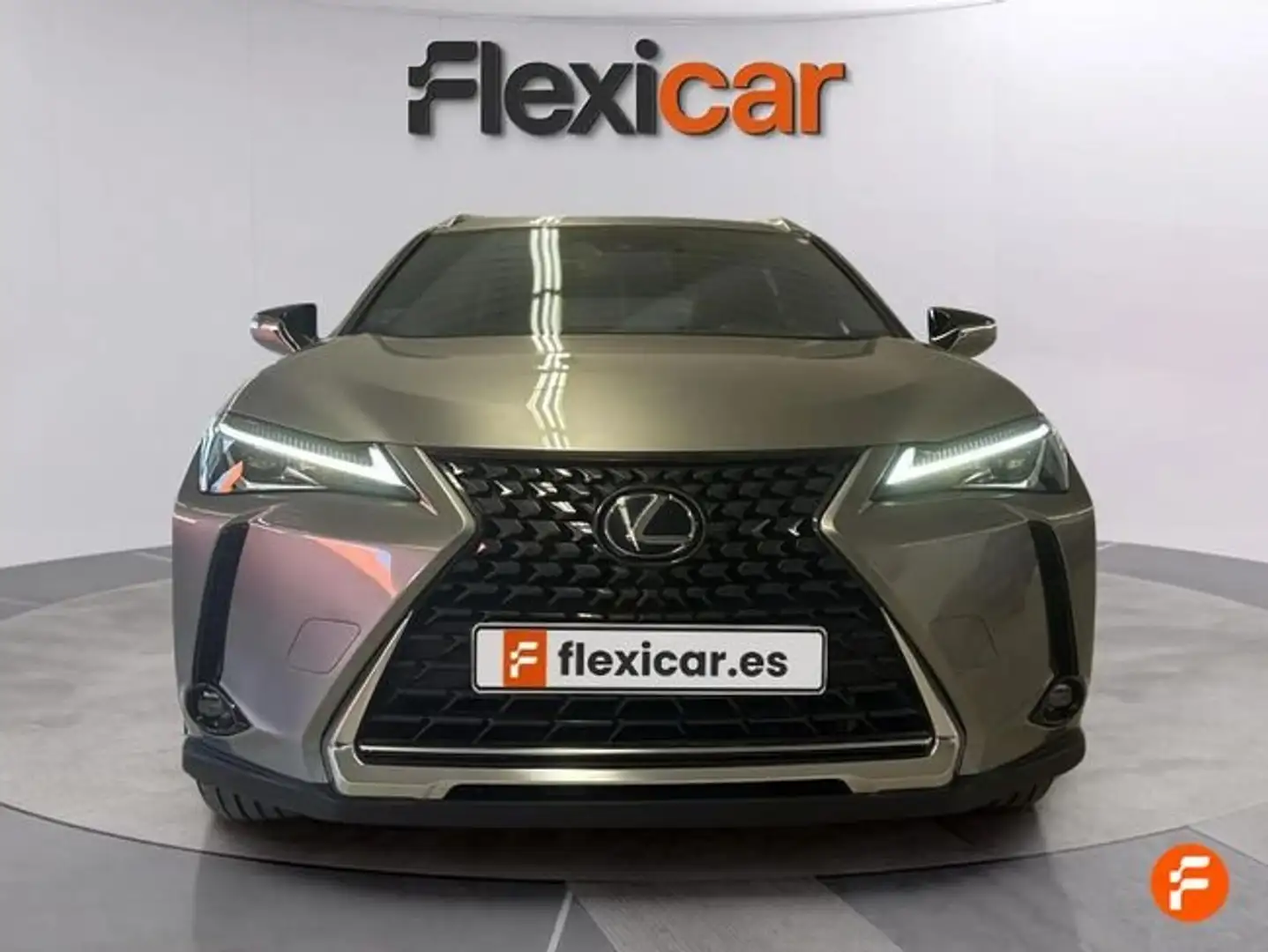 Lexus UX 250h 2.0+250h+Business Gris - 2