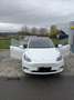 Tesla Model Y Model Y RWD Long Range Weiß - thumbnail 6