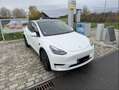 Tesla Model Y Model Y RWD Long Range Weiß - thumbnail 5