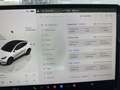 Tesla Model Y Model Y RWD Long Range Weiß - thumbnail 17