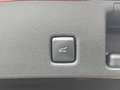Ford Kuga 2.5 PHEV ST-Line X Black Pack Rood - thumbnail 17