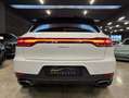 Porsche Macan 2019 - 2.0 - 245cv pdk - thumbnail 8