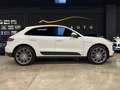 Porsche Macan 2019 - 2.0 - 245cv pdk - thumbnail 5