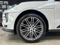 Porsche Macan 2019 - 2.0 - 245cv pdk - thumbnail 27