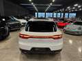 Porsche Macan 2019 - 2.0 - 245cv pdk - thumbnail 7