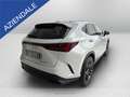 Lexus NX 450h+ 450h+ 2.5 phev premium+ 4wd 309cv e-cvt Blanc - thumbnail 5