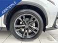 Lexus NX 450h+ 450h+ 2.5 phev premium+ 4wd 309cv e-cvt Weiß - thumbnail 4
