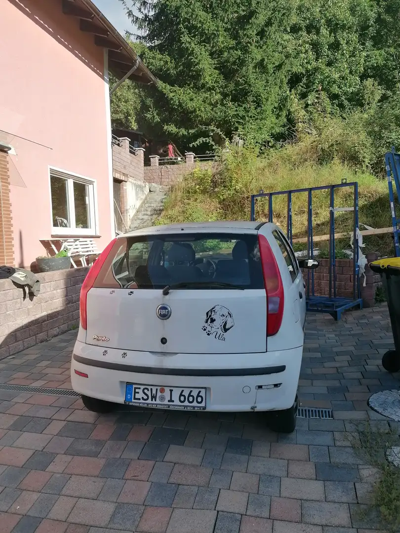 Fiat Punto Punto 1.2 8V Weiß - 1