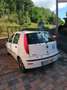Fiat Punto Punto 1.2 8V Weiß - thumbnail 3