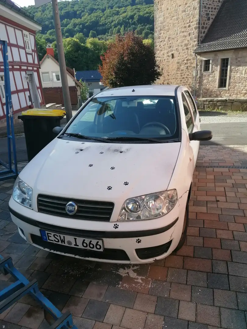 Fiat Punto Punto 1.2 8V Weiß - 2