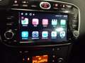 Fiat Punto Evo 4ª serie 1.4 8V 5 porte Easypower Street Schwarz - thumbnail 16