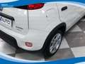 Fiat Panda Hybrid 1.0 FireFly 70cv EU6 Weiß - thumbnail 13