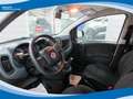 Fiat Panda Hybrid 1.0 FireFly 70cv EU6 Weiß - thumbnail 3