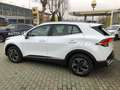 Kia Sportage 1.6 TGDi MHEV 150Cv Business Arancione - thumbnail 7