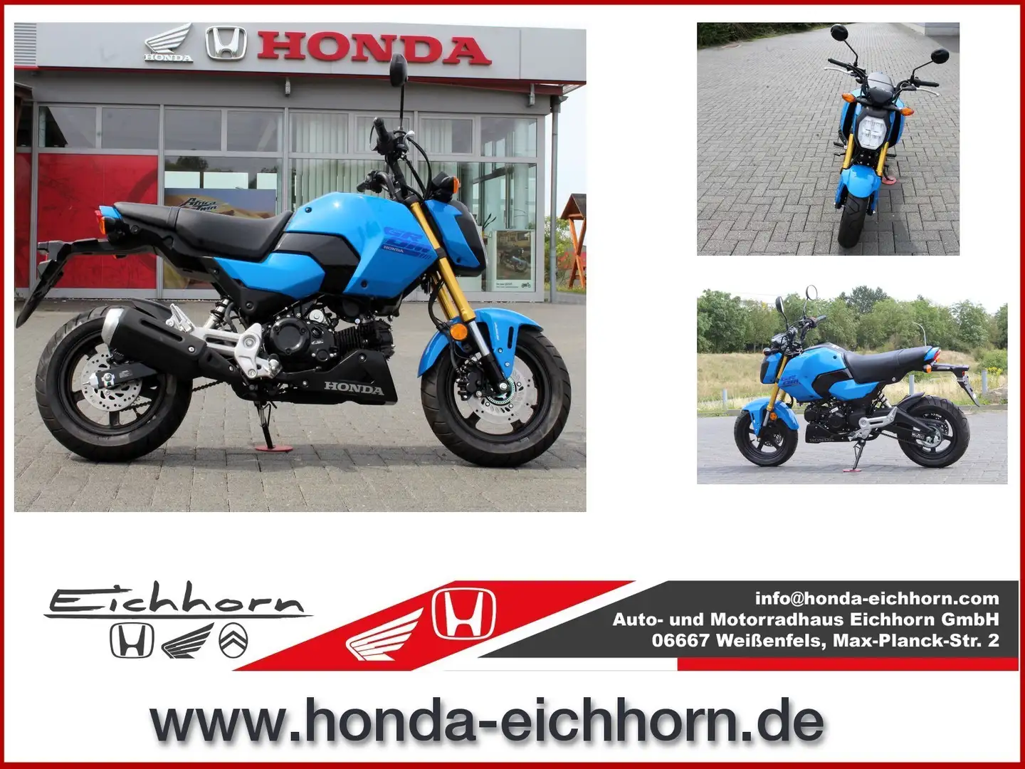 Honda MSX 125 MSX 125 GROM Bleu - 1