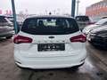 Ford Focus Turnier Trend 1.0 EcoBoost Weiß - thumbnail 7