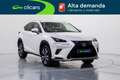 Lexus NX 300h Premium 2WD Blanco - thumbnail 3