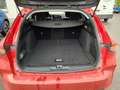 Opel Astra L ST Business Edition 1.5 Diesel LED CarPlay SHZ L Rosso - thumbnail 14