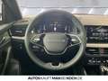 Skoda Kamiq 1.0 TSI DSG TOUR BLACK ACC OPEN SKY LM 18" Rot - thumbnail 9
